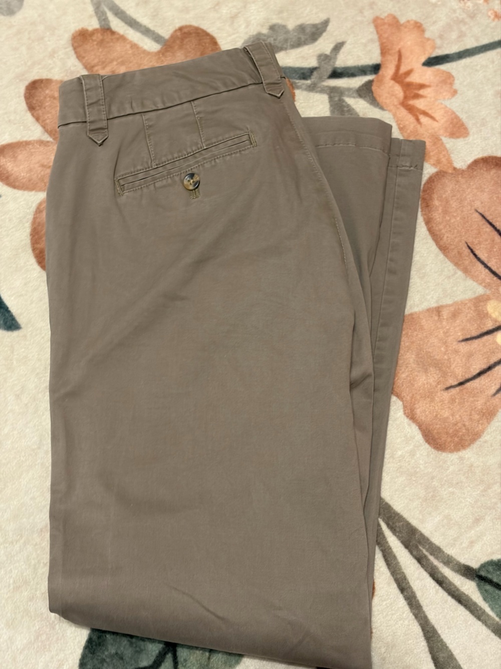 Eddie Bauer Men's Chino Pants in Taupe Brown